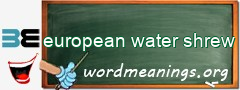 WordMeaning blackboard for european water shrew